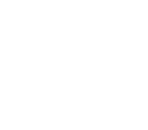 Marca GTO