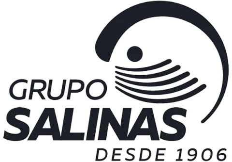 Grupo Salinas